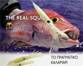 Εικόνα για την κατηγορία REAL SQUID